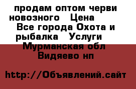 продам оптом черви новозного › Цена ­ 600 - Все города Охота и рыбалка » Услуги   . Мурманская обл.,Видяево нп